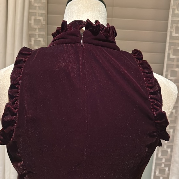 Shoshanna dark burgundy velvet evening gown - Picture 10 of 15